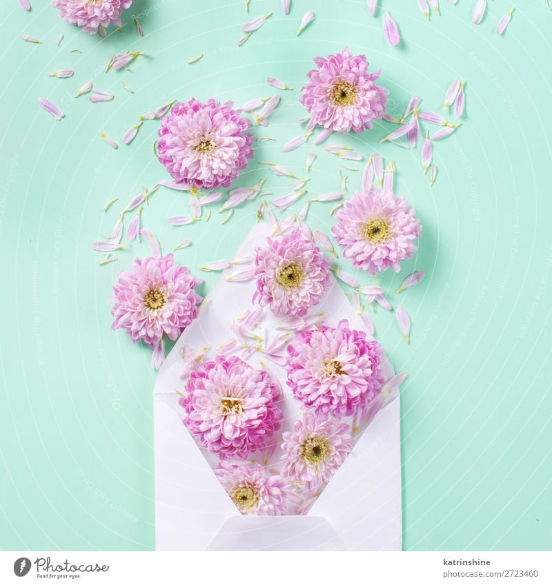 Umschlag mit Blumen Design Dekoration & Verzierung Hochzeit Frau Erwachsene Mutter Kunst Herz oben rosa Kreativität Hintergrund Postkarte Zusammensetzung
