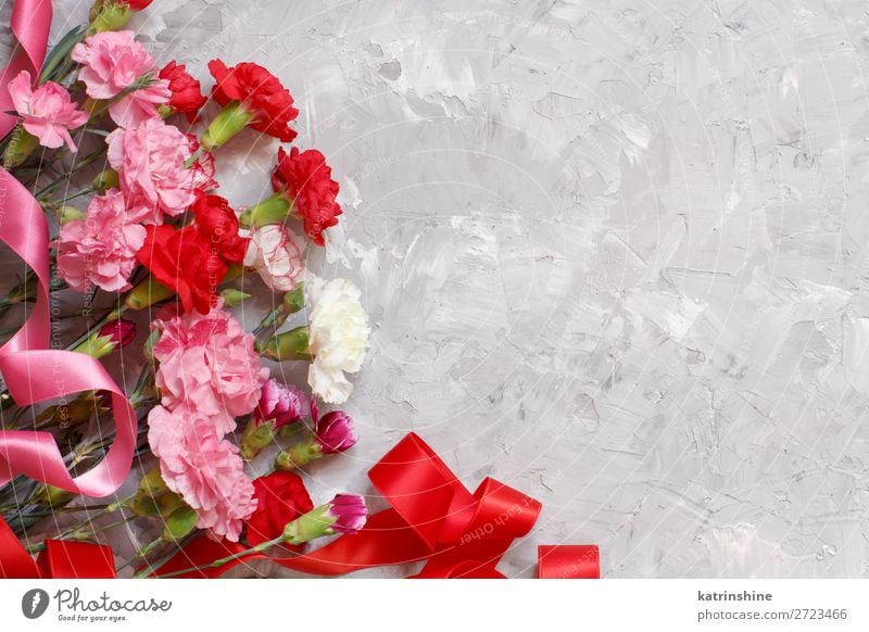 Frühlingshintergrund mit Nelkenblüten und Bändern Dekoration & Verzierung Feste & Feiern Valentinstag Geburtstag Frau Erwachsene Mutter Blume Blüte Schnur Liebe
