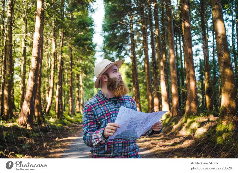 Mann, der auf der Straße im Wald unterwegs ist. Tourist Natur Navigation Sonnenstrahlen benutzend Browsen bärtig grün Ferien & Urlaub & Reisen Abenteuer