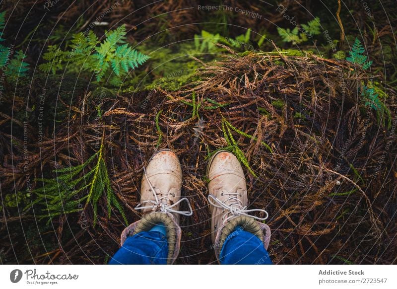 Nahaufnahme einiger Stiefel im Wald Feldfrüchte Herbst Mensch Natur Beine Schuhe Anschnitt Park Blatt Außenaufnahme Fuß Hintergrundbild gelb Jahreszeiten