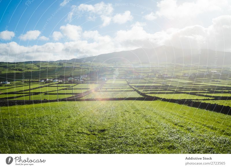Luftbild zu grünen Feldern Aussicht Natur Wiese Gras Landschaft ländlich Sommer Pflanze Azoren Frühling Rasen Landen Umwelt Jahreszeiten Bauernhof schön