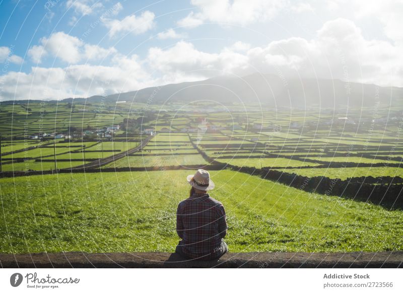 Luftbild zu grünen Feldern Aussicht Natur Wiese Gras Landschaft ländlich Sommer Pflanze Azoren Frühling Rasen Landen Umwelt Jahreszeiten Bauernhof schön