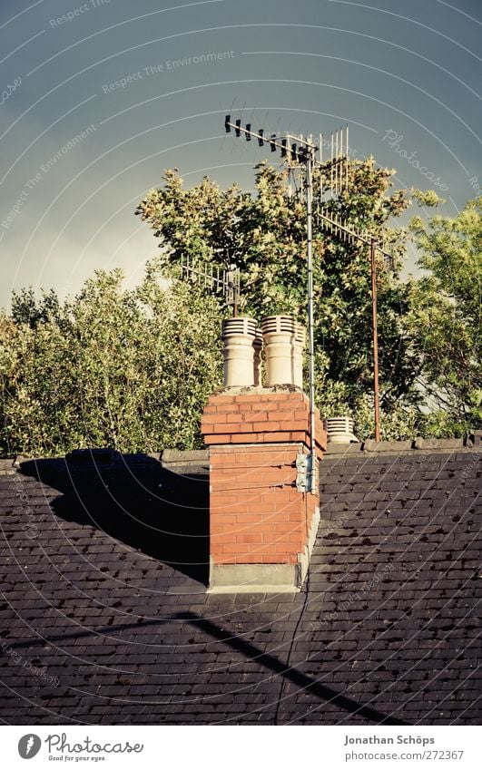 britische Dächer II England Großbritannien Stadt Stadtrand Haus Einfamilienhaus ästhetisch Dach Schornstein Antenne Baum Baumkrone Himmel Englisch Schatten