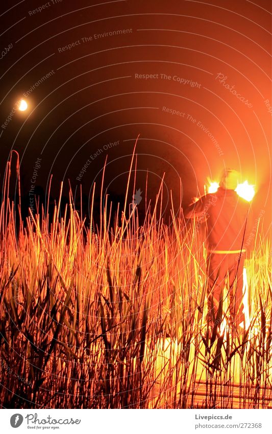 Zum Boddenhof Mensch maskulin Mann Erwachsene Körper 1 Natur Landschaft Himmel Mond Pflanze Sträucher Seeufer leuchten Feuer Farbfoto Außenaufnahme Experiment