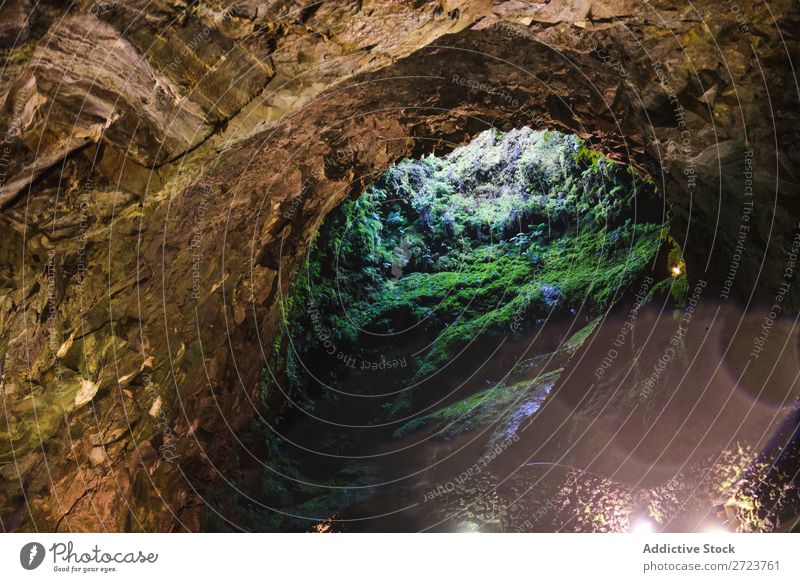 Höhle mit grünem Moos bedeckt Hauseingang Felsen Wachstum nass Natur Stein natürlich Umwelt frisch Wand Gras Azoren Oberfläche Blatt abstrakt schön