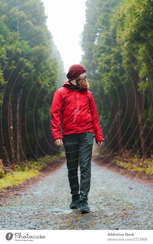 Wanderer im Wald mit Tourist Natur Mann laufen Straße rot Jacke grün Ferien & Urlaub & Reisen Abenteuer Landschaft wandern Azoren Außenaufnahme Aussicht Mensch