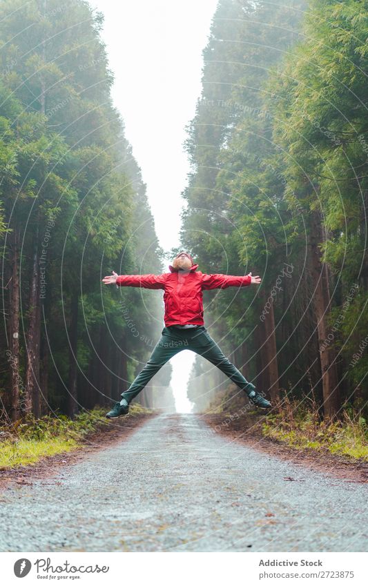 Mann, der auf der Straße im Wald springt. Tourist Natur bärtig springen rot Jacke Wege & Pfade grün Ferien & Urlaub & Reisen Abenteuer Landschaft Azoren wandern