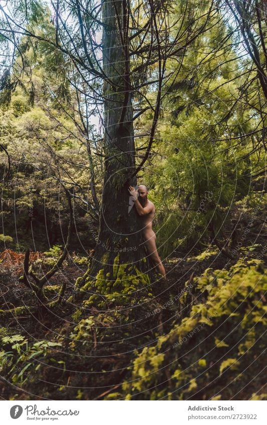 Nackter Mann umarmt Baum nackt Wald Jugendliche Torso natürlich umarmend Rüssel Park Model gutaussehend Erwachsene Natur Holz ohne Hemd stark attraktiv muskulös