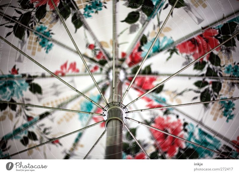 Blumen schmücken das Leben... Stil Ferien & Urlaub & Reisen Sommer Sonnenschirm Regenschirm Schirm Metall Linie Streifen Netzwerk Blumenmuster nah Stimmung