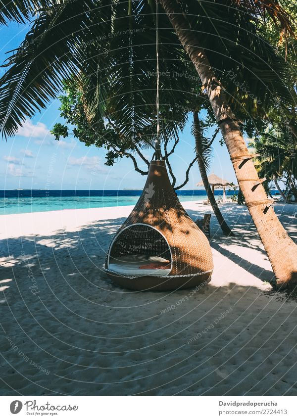 Malediveninsel Luxusresort Palme mit Hängematte Insel Strand Reichtum Resort Idylle Himmel (Jenseits) Treepod Paradies schön Schaukel Sonne Riff Atoll Lagune