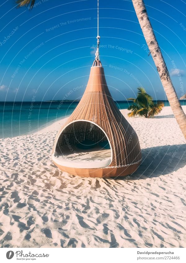Malediveninsel Luxusresort Palme mit Hängematte Insel Strand Reichtum Resort Idylle Himmel (Jenseits) Treepod Paradies schön Schaukel Sonne Riff Atoll Lagune