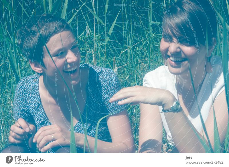 füreinander feminin Homosexualität Junge Frau Jugendliche 2 Mensch Sträucher Wiese Erholung Kommunizieren Lächeln lachen Fröhlichkeit Zusammensein Glück positiv