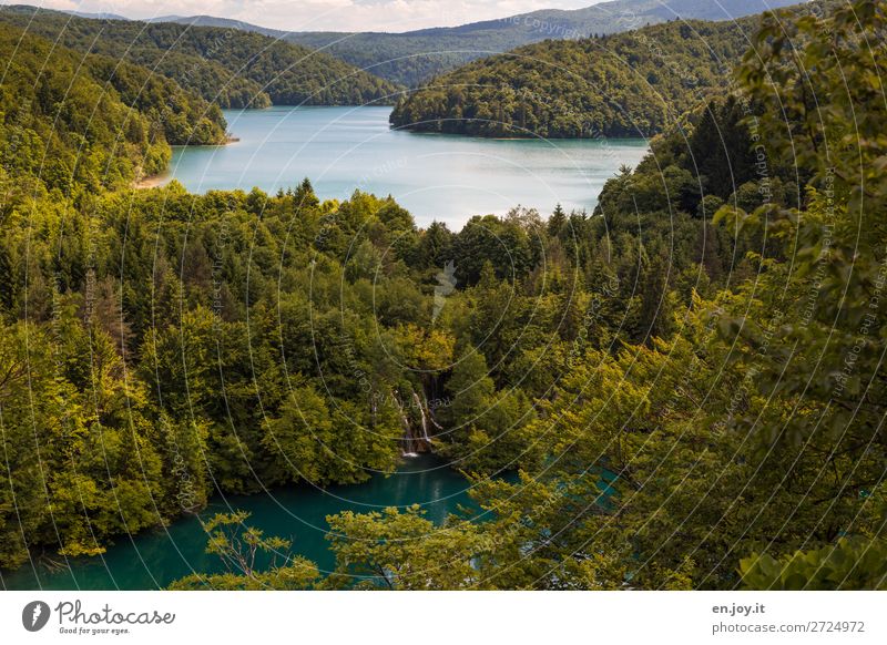 Fernweh | Seenlandschaft Ferien & Urlaub & Reisen Tourismus Ausflug Sommer Sommerurlaub Natur Landschaft Wald Hügel grün Erholung Idylle Klima nachhaltig