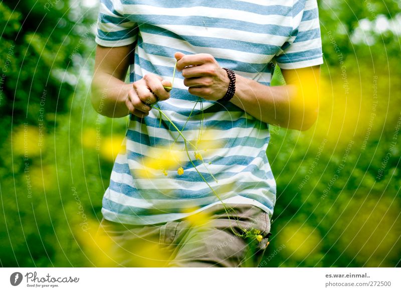 sommer maskulin 1 Mensch Schönes Wetter ästhetisch Wärme gelb Streifenpullover Sumpf-Dotterblumen Farbfoto mehrfarbig Oberkörper