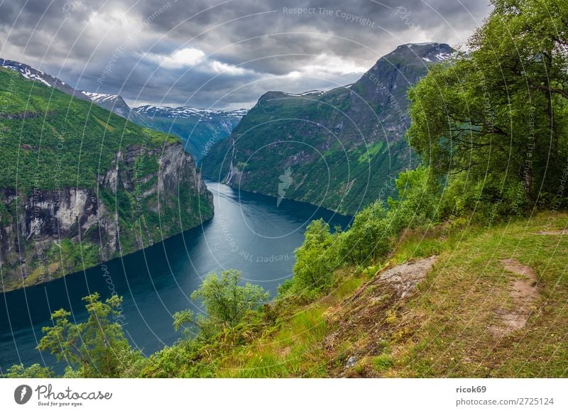 Blick auf den Geirangerfjord in Norwegen Erholung Ferien & Urlaub & Reisen Tourismus Kreuzfahrt Berge u. Gebirge Natur Landschaft Wasser Wolken Baum Felsen