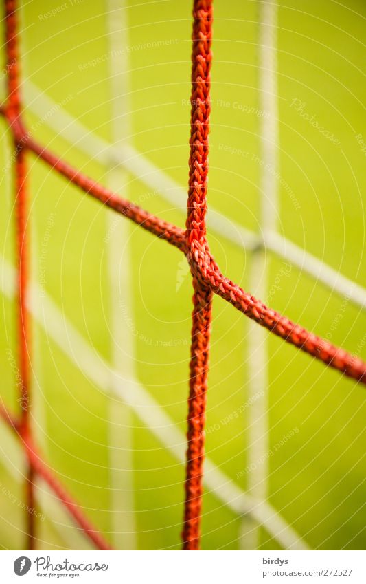 Netze eines Fußballtores, schwache Tiefenschärfe grün rot Sport Symmetrie 2 doppelt gemoppelt Synthese Knoten Knotenpunkt netzförmig Vor hellem Hintergrund