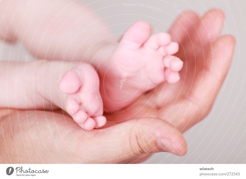 Füßchen in der Hand Kind Baby Kleinkind Eltern Erwachsene Mutter Vater Familie & Verwandtschaft Finger Wärme berühren Liebe tragen schön klein Glück Sicherheit