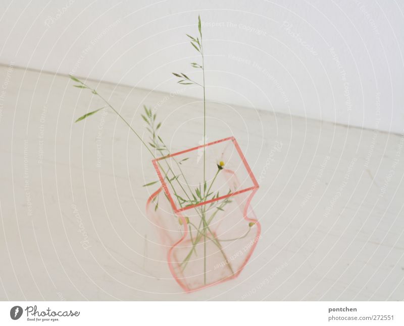 Durchsichtige Vase gefüllt mit wenigen Halmen. Minimalismus Innenarchitektur Dekoration & Verzierung Pflanze Blume Gras Blumenstrauß Kunststoff hell trist rosa