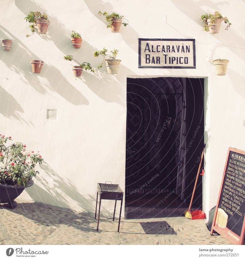 Bar Tipico [L] Tapa Pflanze Blume Topfpflanze Arcos de la Frontera Andalusien Spanien Stadtzentrum Restaurant Mauer Wand Fassade Tür Eingang hell weiß