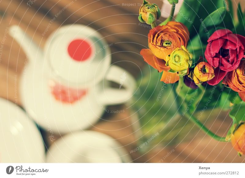 Frühstück Kaffee Geschirr Teller Kaffeekanne Blumenstrauß retro mehrfarbig Gastfreundschaft Frühstückstisch Kaffeepause Farbfoto Innenaufnahme Menschenleer