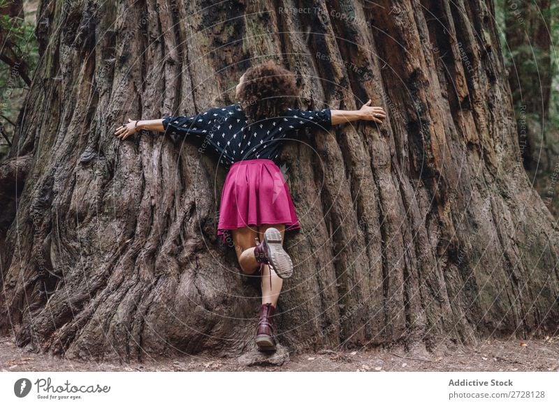 Frau umarmt Riesenbaum Baum umarmend riesig Park Rüssel Umarmen Natur Liebe Erholung Wunderland harmonisch Umwelt Wald träumen stehen natürlich Schutz reisend