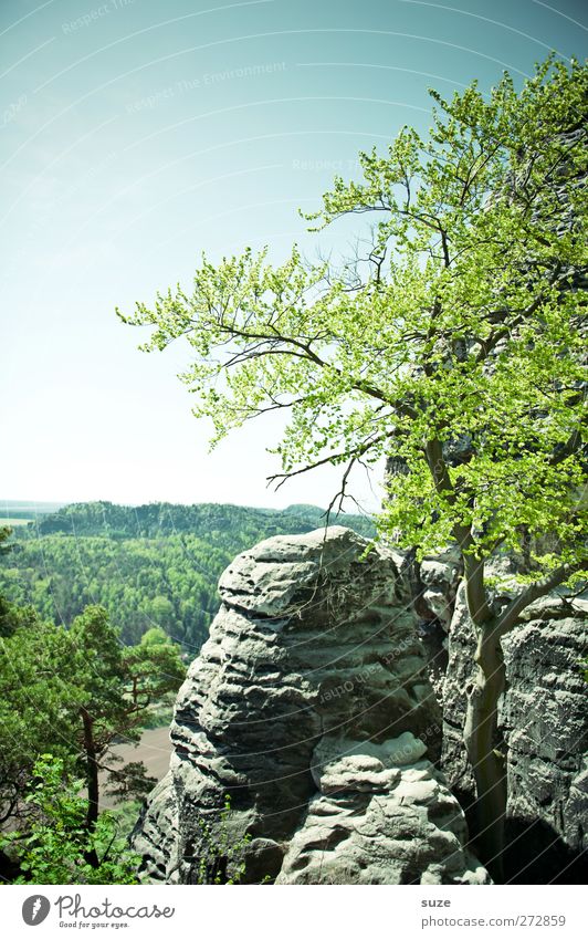 Schere-Stein-Papier Freiheit Berge u. Gebirge Umwelt Natur Landschaft Pflanze Himmel Wolkenloser Himmel Frühling Klima Schönes Wetter Baum Felsen authentisch