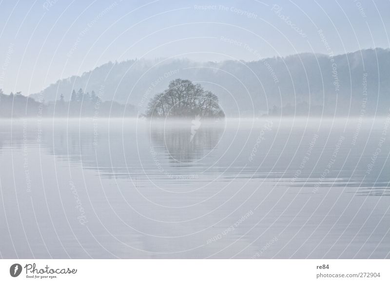 Nebelbänke / Lake Windermere Umwelt Natur Landschaft Urelemente Wasser Horizont Winter Wetter Seeufer Fjord Schwimmen & Baden Nebelbank Baum