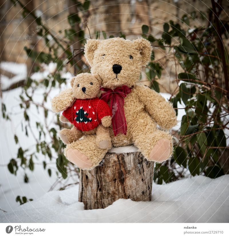 zwei Teddybären sitzen umarmt an einem Stumpf. Winter Schnee Kind Freundschaft Paar Kindheit Natur Wetter Spielzeug Puppe alt Liebe Umarmen klein niedlich weich