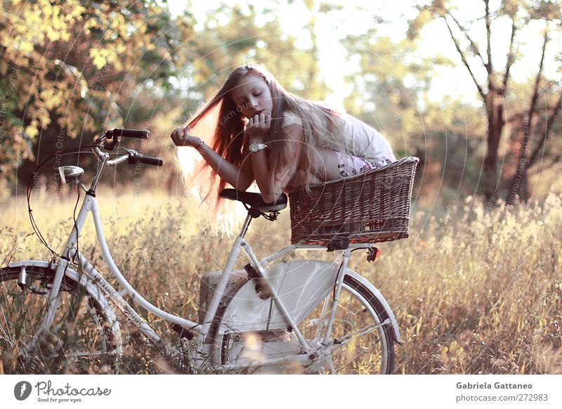 um im Sommer Trost zu spenden. feminin Kind 1 Mensch Natur Gras Sträucher Feld träumen gelb gold Stimmung Abenteuer Sitzen Fahrrad Korb hölzern Baum Straße