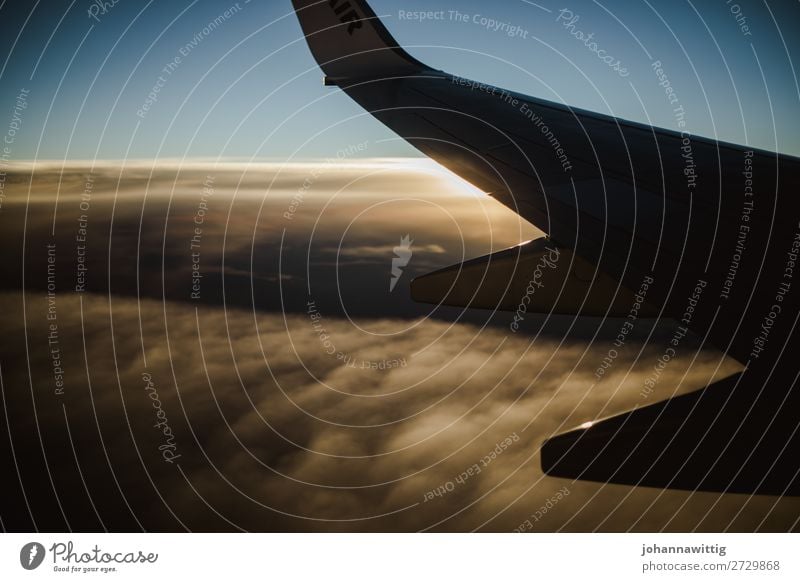 Flugzeug in der Luft Tourismus Sonnenuntergang Flugzeugausblick Wolken Flugzeugteile Reise reisen