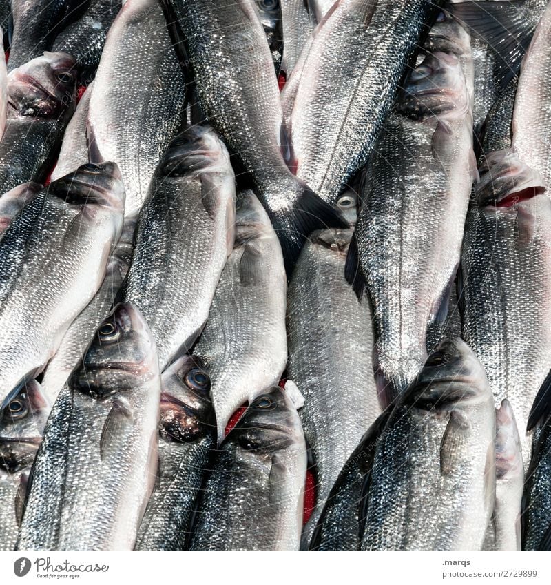 Freitags gibt´s Fisch Handel Fischmarkt Markt frisch viele Ernährung Istanbul Farbfoto Außenaufnahme Nahaufnahme Muster Menschenleer Textfreiraum links