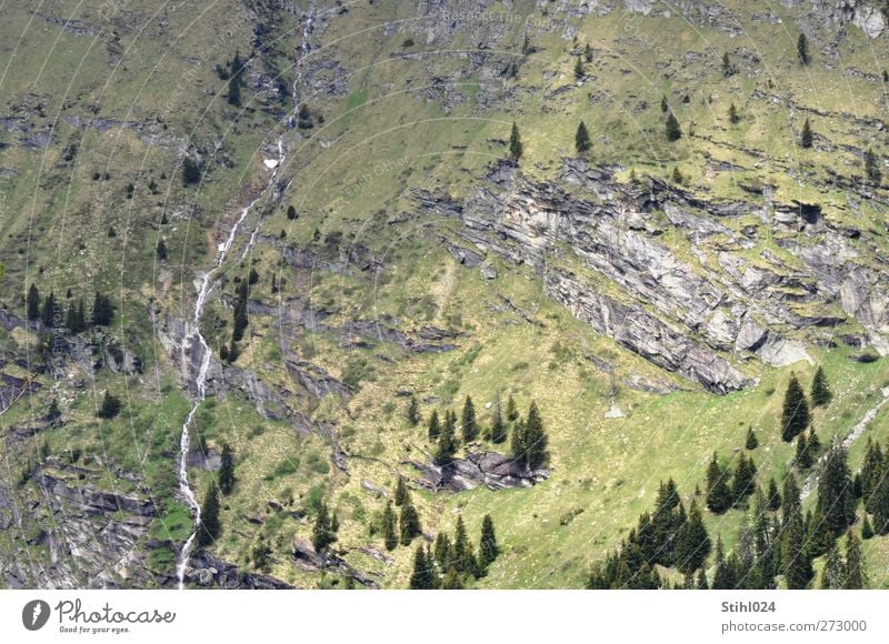 Blick vom San Bernhardino Pass harmonisch Sinnesorgane Erholung Meditation Ferien & Urlaub & Reisen Tourismus Berge u. Gebirge Klettern Bergsteigen Landschaft