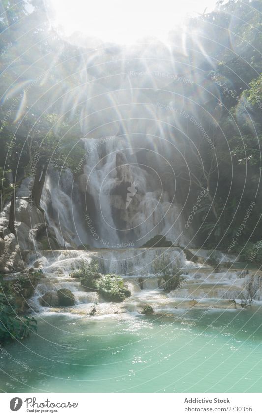 Schöner Wasserfall an einem sonnigen Tag Wald Kaskade Natur Landschaft Ferien & Urlaub & Reisen Fluss Park schön grün strömen Tourismus fließen Urwald tropisch