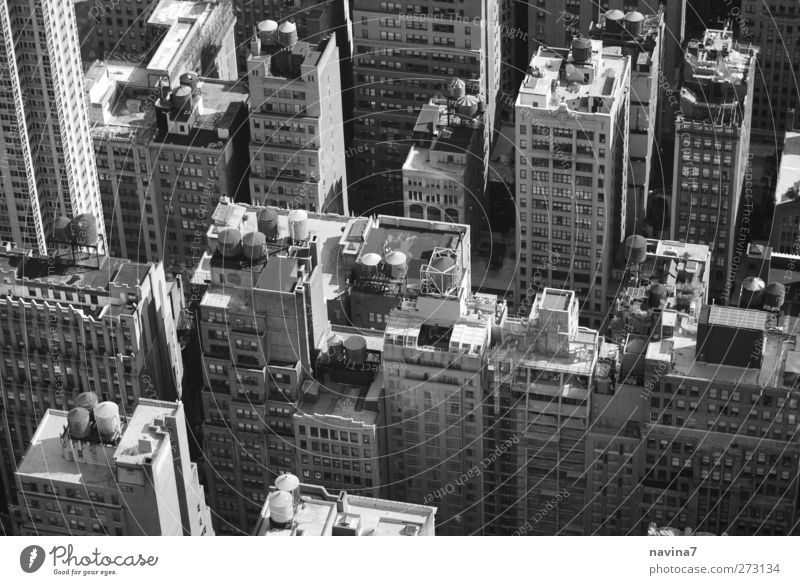 Rocky 1 New York City Menschenleer Haus Hochhaus Gebäude Dach Häusliches Leben oben grau Zisterne Schwarzweißfoto Außenaufnahme Luftaufnahme Tag