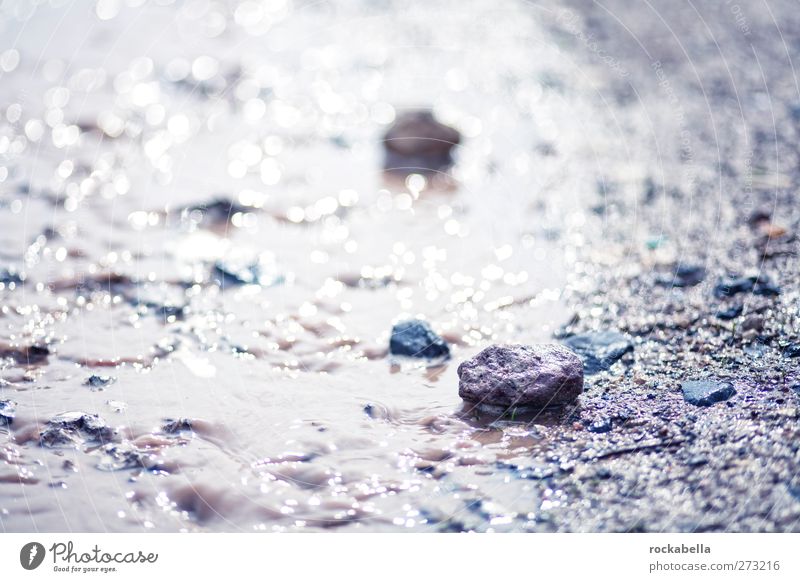 Steine in Pfütze Umwelt Natur Landschaft Erde Wasser ästhetisch Einsamkeit Farbfoto Außenaufnahme Menschenleer Gegenlicht Schwache Tiefenschärfe