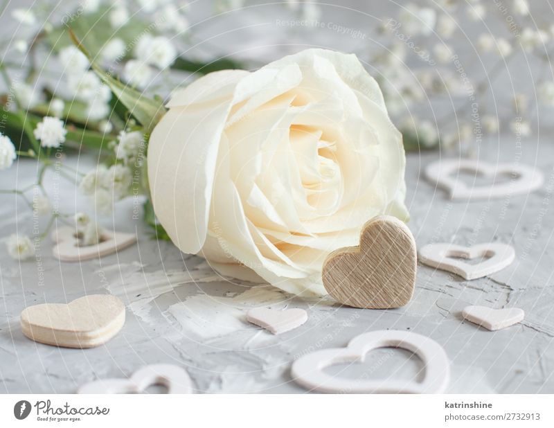 Sahne-Rose mit Herzen schön Dekoration & Verzierung Valentinstag Hochzeit Handwerk Frau Erwachsene Blume Blüte Holz klein grau neutral Pastell romantisch