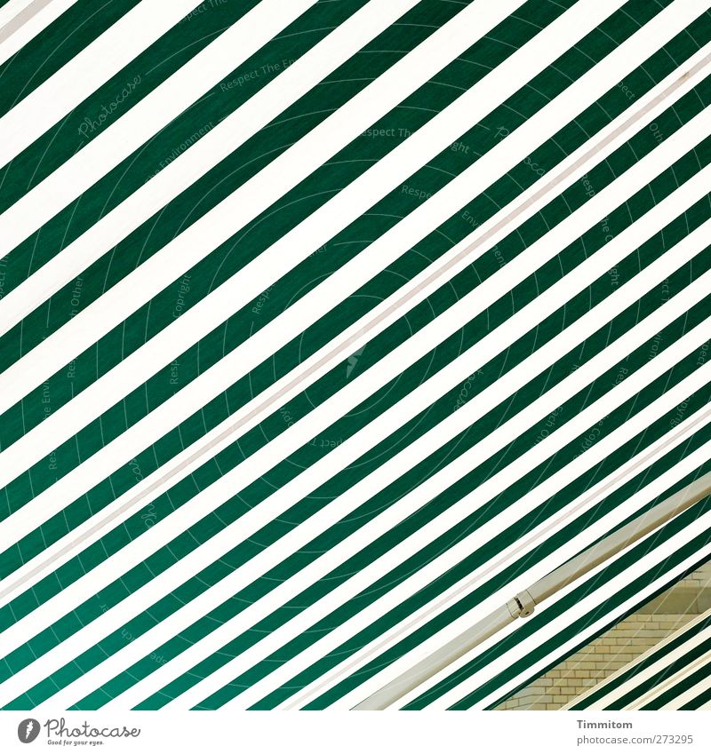 Ein Stück vom Haus. Stadt Mauer Wand Blick warten grün weiß Schutz Markise weit Linie Streifen Farbfoto Außenaufnahme Menschenleer Tag