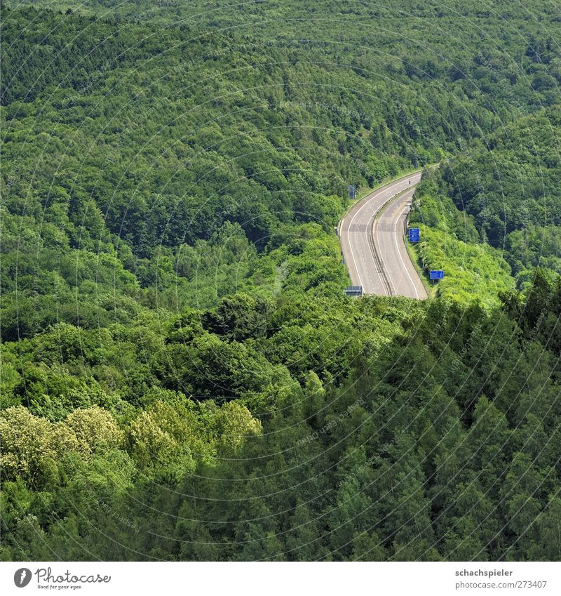 Brrmmmm - ein Stück Autobahn Umwelt Natur Landschaft Pflanze Baum Wald Verkehrswege Straßenverkehr blau grau grün Umweltverschmutzung Umweltschutz Farbfoto