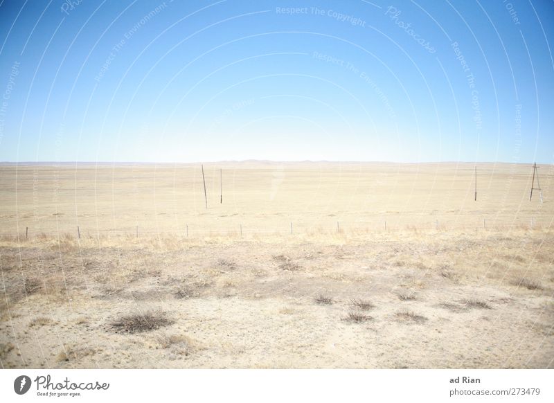 weite Weite Natur Landschaft Erde Himmel Wolkenloser Himmel Horizont Schönes Wetter Wärme Dürre Wüste Gobi Mongolei gigantisch glänzend Unendlichkeit natürlich