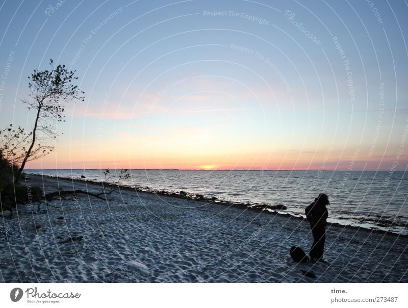 Particula Day | Wir können auch romantisch Mensch 1 Umwelt Wasser Himmel Horizont Schönes Wetter Baum Küste Strand Ostsee stehen authentisch einfach Glück schön