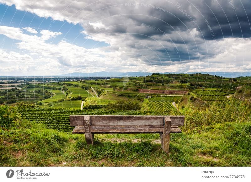 Kaiserstuhl Landschaft Sommer Schönes Wetter Wein Hügel Terassenfeld Bank Erholung Stimmung Natur Aussicht Pause Farbfoto Außenaufnahme Menschenleer