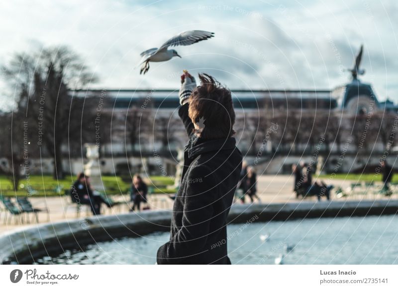 Junge gibt Pidgeon im Tuileries Garden in Paris, Frankreich, Essen. Ferien & Urlaub & Reisen Tourismus Winter Garten Mann Erwachsene Museum Natur Tier Park