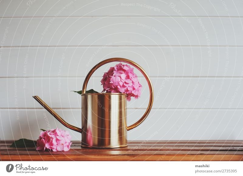 rosa Hortensienblüten mit Gießkanne auf Holztisch Design schön Freizeit & Hobby Sommer Garten Dekoration & Verzierung Tisch Natur Pflanze Blume Sträucher Blatt