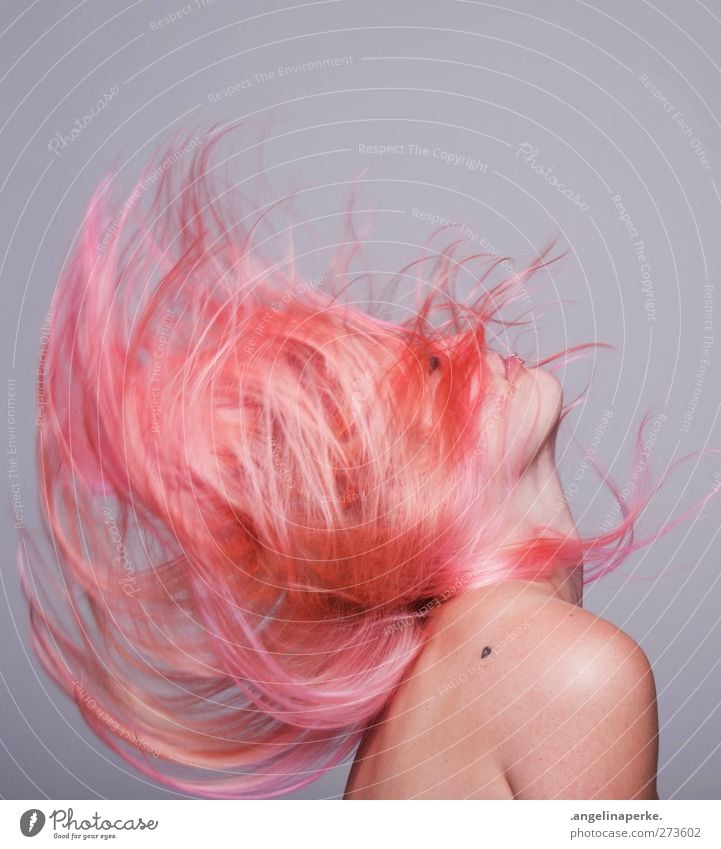 wenn das feuer dich verschlingt... rosa Haare & Frisuren Bewegung Profil Werkstatt