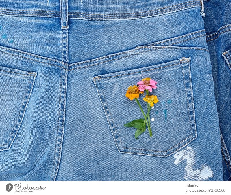 Blumenstrauß Stil Design Blüte Mode Bekleidung Jeanshose Stoff alt Blühend natürlich blau gelb grün Farbe Tradition Rücken Hintergrund lässig Baumwolle