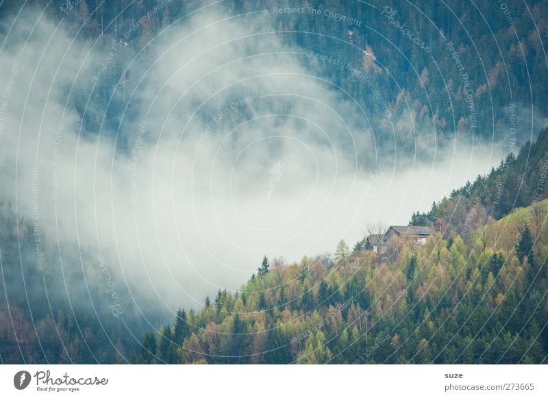 Es zog Nebel auf ... Ferne Haus Umwelt Natur Landschaft Pflanze Urelemente Luft Wolken Sommer Klima Wald Alpen Berge u. Gebirge Hütte außergewöhnlich grün