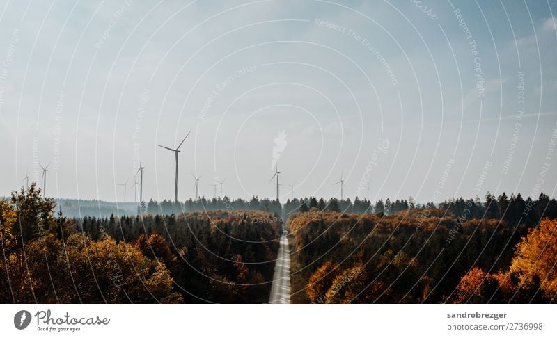 Windräder im Herbstwald Windrad Ökostrom Strom energie luft straße weg warm himmel