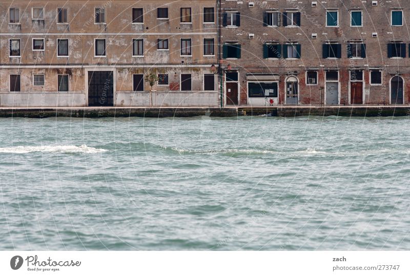Am Wasser wohnen Wellen Küste Insel Kanal Venedig Italien Fischerdorf Hafenstadt Altstadt Menschenleer Haus Architektur Fassade Fenster Tür Häusliches Leben