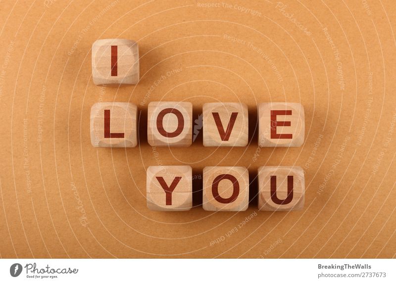 Holzwürfel mit I LOVE YOU Worten über Rot Design Freizeit & Hobby Spielen Valentinstag Papier Zeichen Schriftzeichen Schilder & Markierungen Liebe Zusammensein