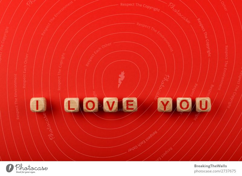 Holzwürfel mit I LOVE YOU Worten über Rot Design Zeichen Schriftzeichen Schilder & Markierungen Liebe Zusammensein oben rot Farbe Kreativität Kunst du